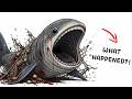Explained 10 Deep Sea Sharks That Look Like Monsters