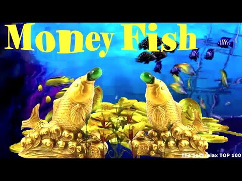 Money. The goldfish grants wishes, performs miracles, brings wealth. Feng sInterdisciplinary Learning