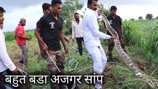 Rescue big indian rock python from Ahmednagar maharashtra, india