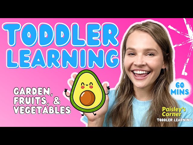 Toddler Learning with Miss Lily, Nursery Rhymes, Learning Videos for  Toddlers