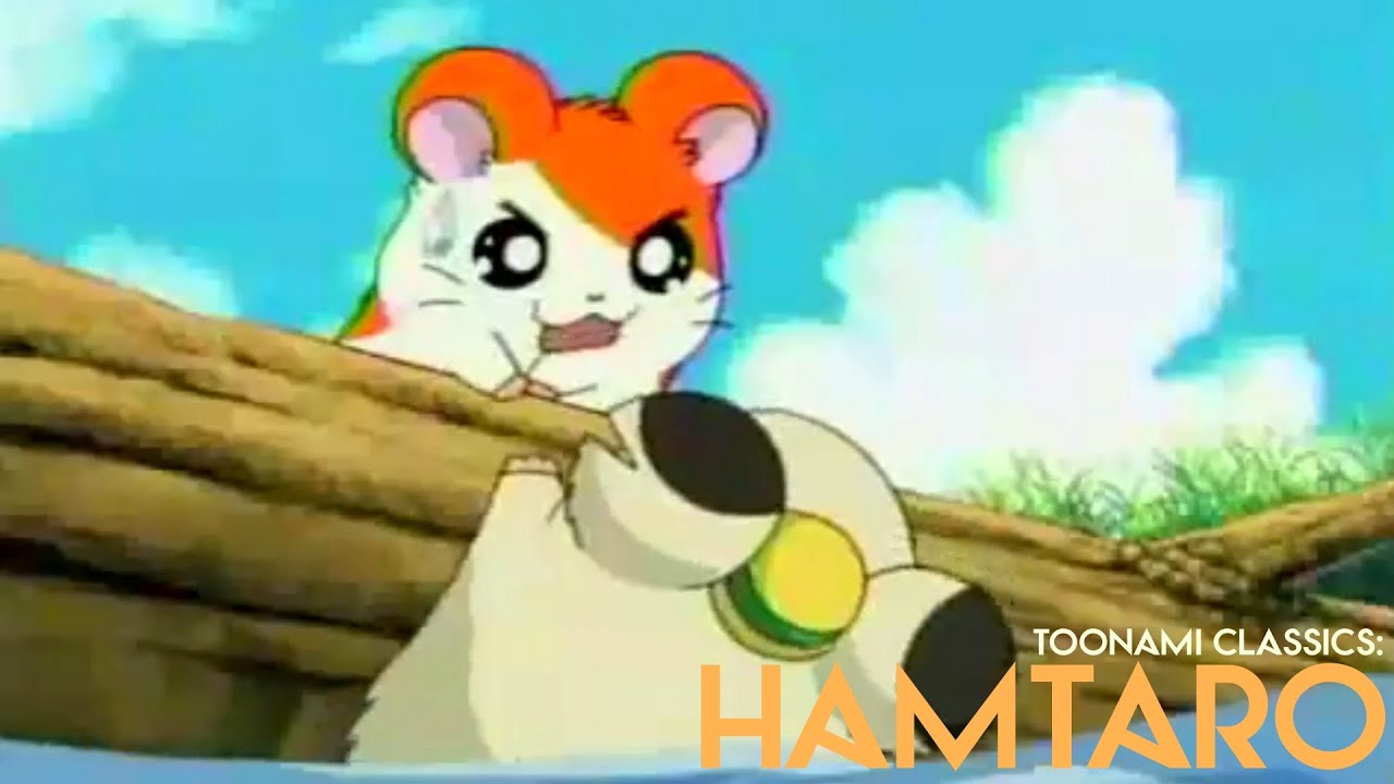 Toonami Classic: Hamtaro - YouTube