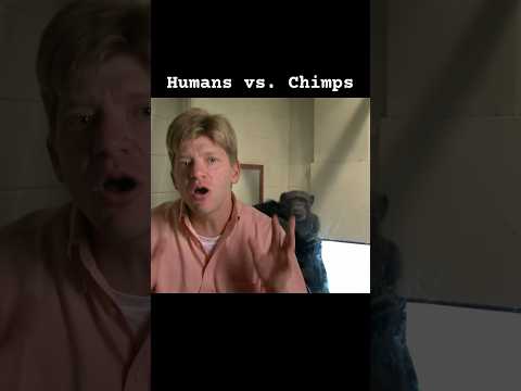 Humans vs. Chimps