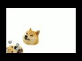 Doge madness