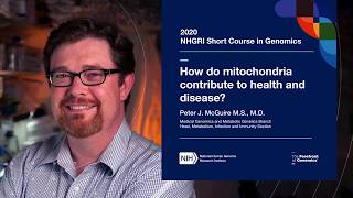 How do mitochondria contribute to health and disease?  Peter McGuire