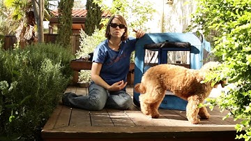 Positive Crate Training