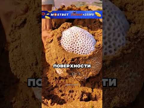 Парень совершил самую дорогую находку в истории! 🥹❤️ #shorts #фильмы