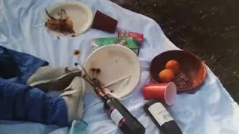 Crime Scene Simulation Class