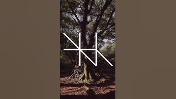 New album coming soon #haunting #melancholia #sigil #newalbum  #indiefolk #sadsongs