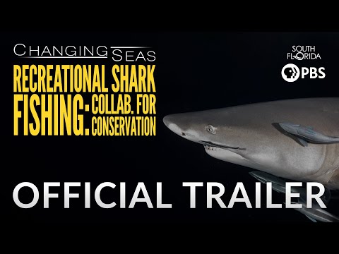 Recreational Shark Fishing: Collaborating for Conservation - Trailer