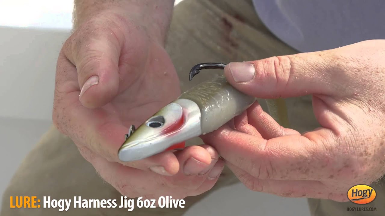 Bluefin Tuna Fishing at The Claw with SI Harness Jigs YouTube