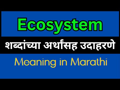 What Is The Meaning Of Ecosystem In Marathi