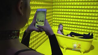 Museums, Galleries Seeking To Cash In On Selfie Craze