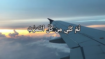 سورة النحل للشيخ ياسر الدوسري #viralvideo