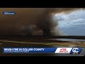 Picayune Strand State Forest brush fire in Collier County grows to 650 acres