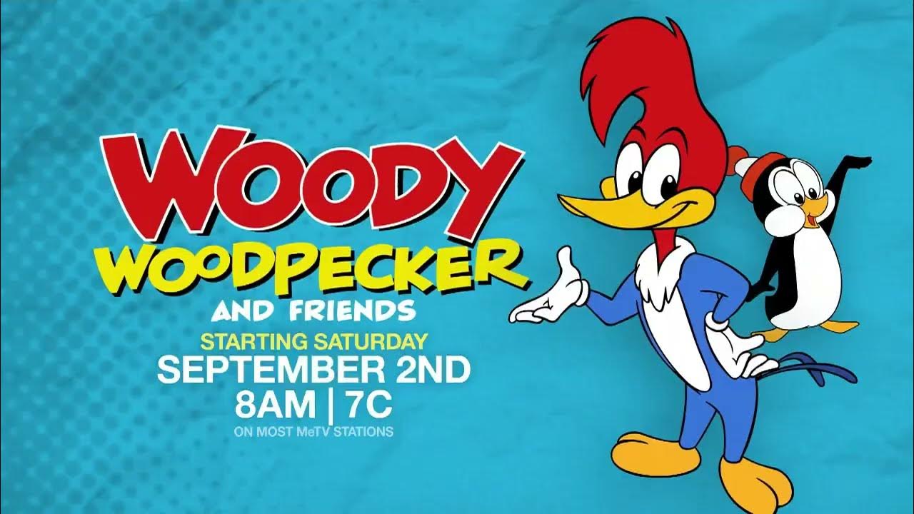 Another METV Woody Woodpecker Promo YouTube