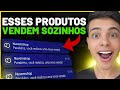 DROPSHIPPING: TOP 10 PRODUTOS PARA VENDER MUITO EM 2023 (Produtos que eu vendo) - Dinheiro online