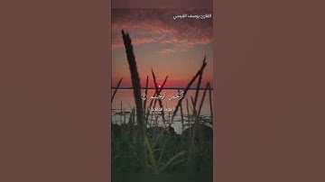القارئ يوسف القيسي