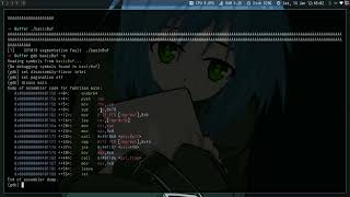 Buffer 1 pwn challenge - USIU CTF