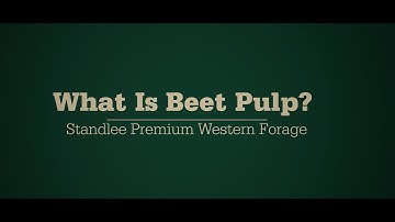 What is Beet Pulp?