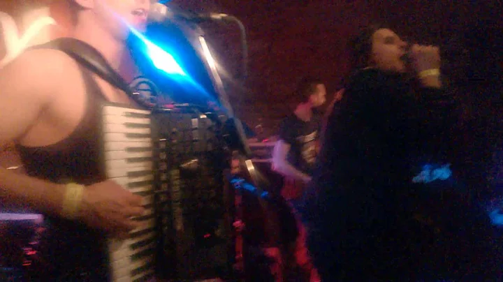 Paddy and the Rats - Pub 'n' Roll (live)