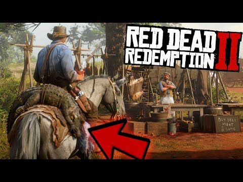 RDR 2 Как Добыть ПРЕВОСХОДНУЮ ШКУРУ гайд по охоте