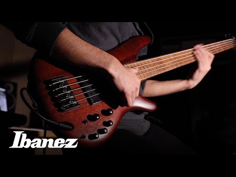 ibanez-sr500-series-electric-bass
