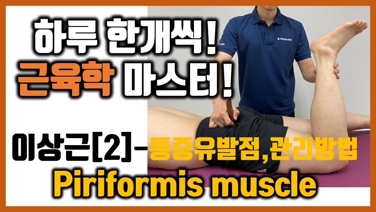 [힐링무브 근육학] 5-5-(2) 이상근(궁둥구멍근, Piriformis) 의 통증유발점과 관리방법 | 좌골신경통과 관련 | healingmove
