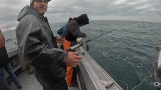 Alaska Halibut Fishing Off The Kenai Peninsula In Ninilchik