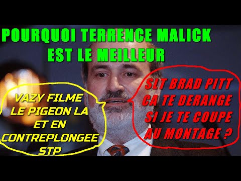 Vidéo: Terrence Malick : Biographie, Créativité, Carrière, Vie Personnelle