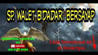 SUARA PANGGIL WALET BIDADARI BERSAYAP Respon mantap Link Download ada di Deskripsi