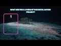 Tuvalu’s Digital Nation Is Taking Shape!