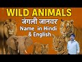 Top 50 Wild Animals Name in English &amp; Hindi 🐅🦁 | जानवरों के नाम सीखें@SpeakingEnglishEasy25