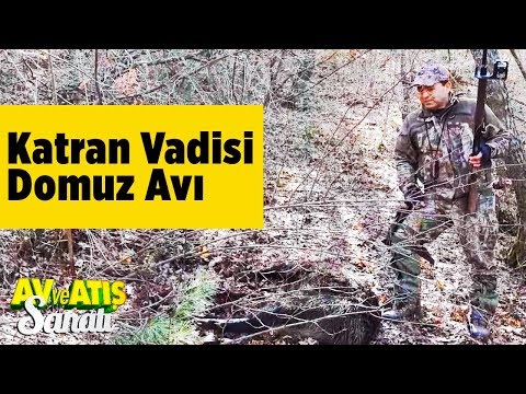Katran Vadisi Domuz Avı  Av ve Atış Sanatı - Yaban Tv  Wildboar Hunting Turkey Mehmet Şahmaran
