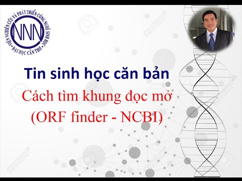 Video: ORF là gì và nó được xác định như thế nào?