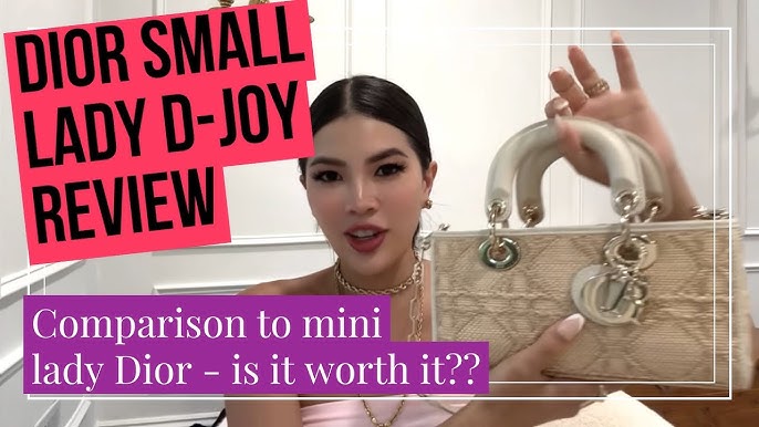 DIOR D-JOY SMALL REVIEW  The Most Versatile Dior Bag Available
