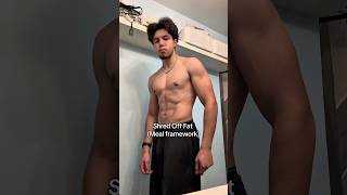 Shred Off Fat (Meal Framework)