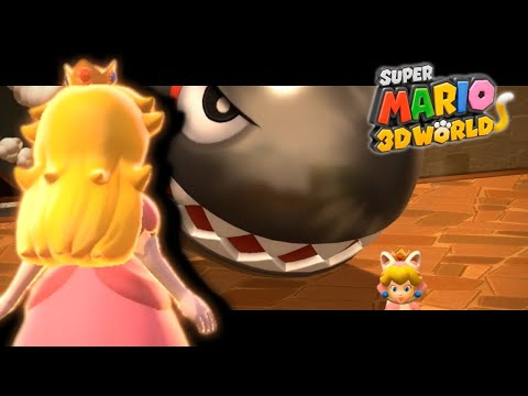 スーパーマリオ 3Dワールド フューリーワールド プリンセスピーチ　2本セット Nintendo Switch 【新品】NSW スーパーマリオ 3Dワールド ＋