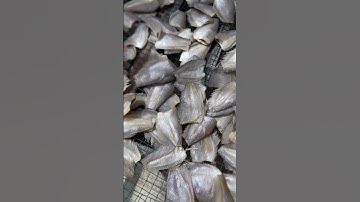 Khô Cá Sặc Đồng Chuẩn Bị Giao Hàng Cho Khách