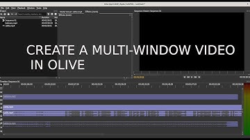 How to Create Multi-Window Video in Olive