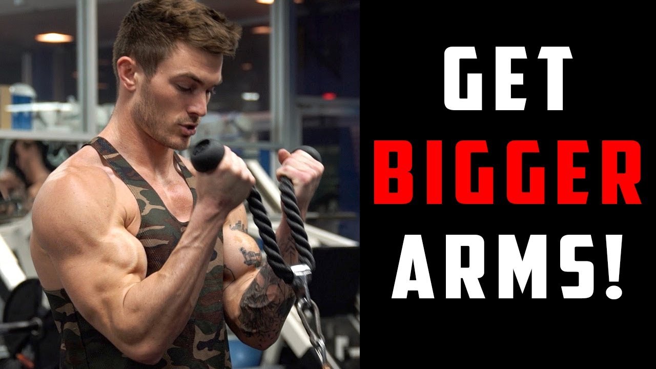 Best Arm Workouts For Big Biceps and Triceps