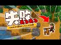 スターデューバレーの失敗あるある22選【Stardew Valley /スターデューバレー】