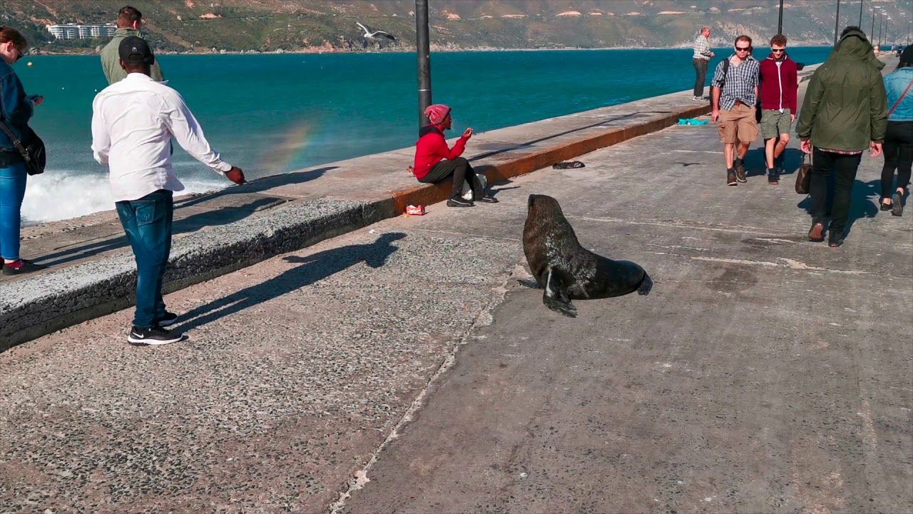 Stunning Hout Bay on a glorious sunny day
