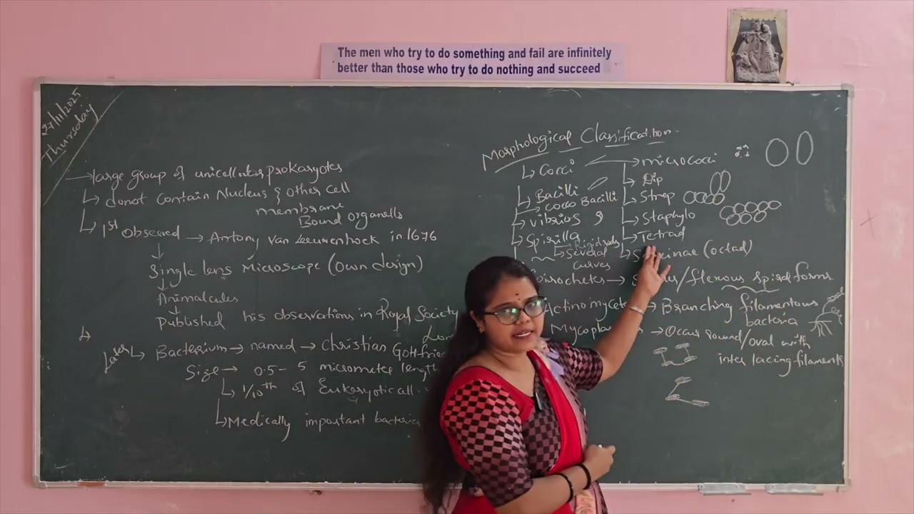 Введение и морфологическая классификация бактерий