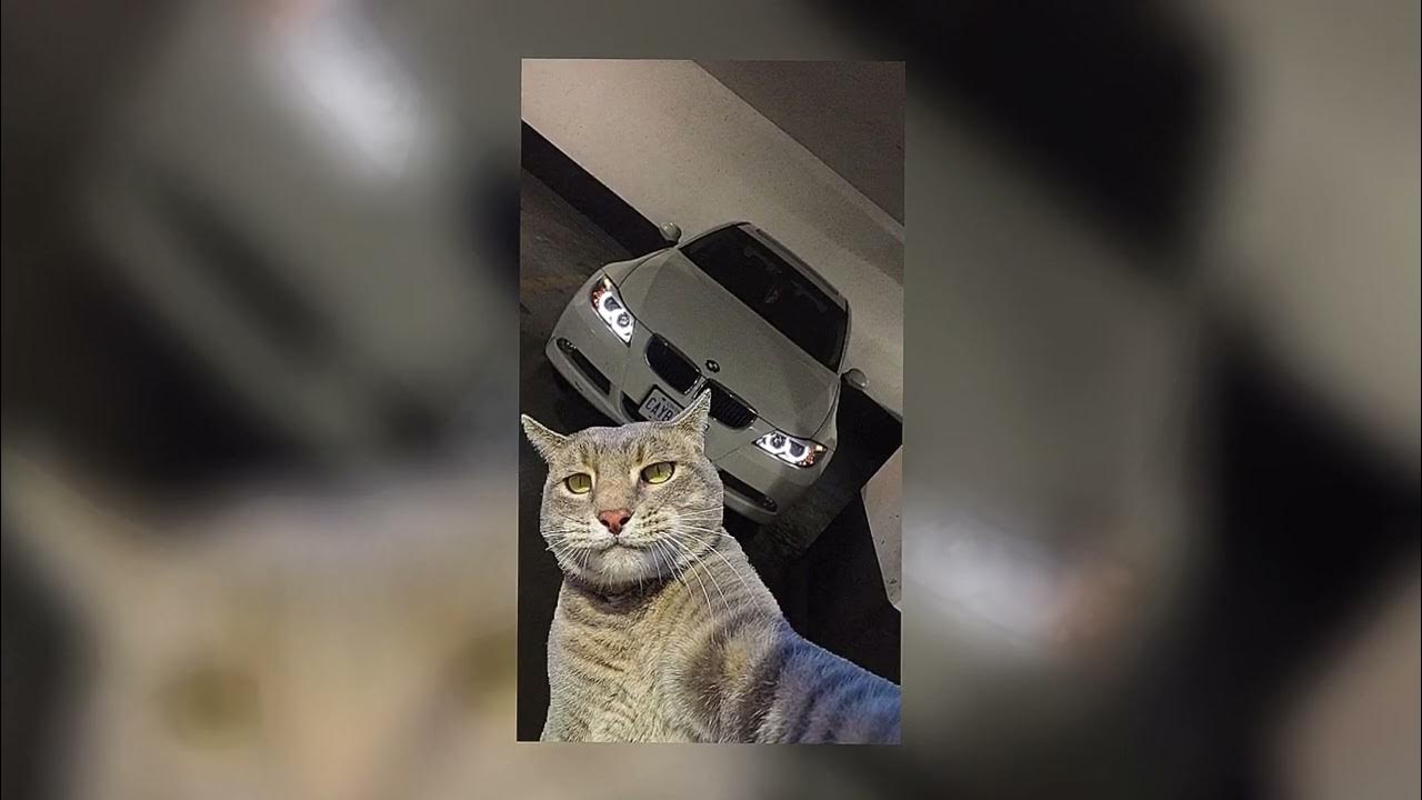 Walle+ (асфальт). Машина ночью. А 403 asphalt material. Бмв м5 ф90. Макан м5 асфальт 8.