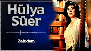 Hülya Süer - Zahidem Resimi