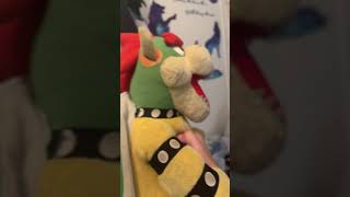 Rip Yoshi