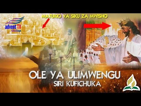 Video: UFO ilichukua mita chache kutoka kwa mwanaanga Igor Volk na Daktari wa Sayansi Igor Melnichenko