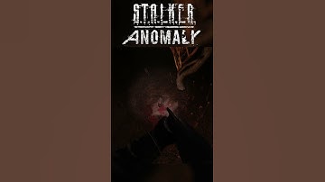 Who are you?? #stalkeranomaly #stalker #stalkergameplay