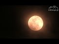 2022-05-15 Eclipse de luna visto desde la ciudad de Guatemala