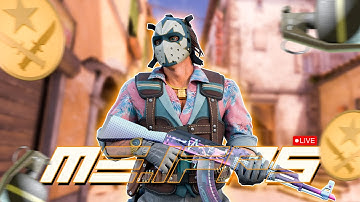 Road to FPL: The CS2 Grind Begins #cs2 #counterstrike2 #cs2live